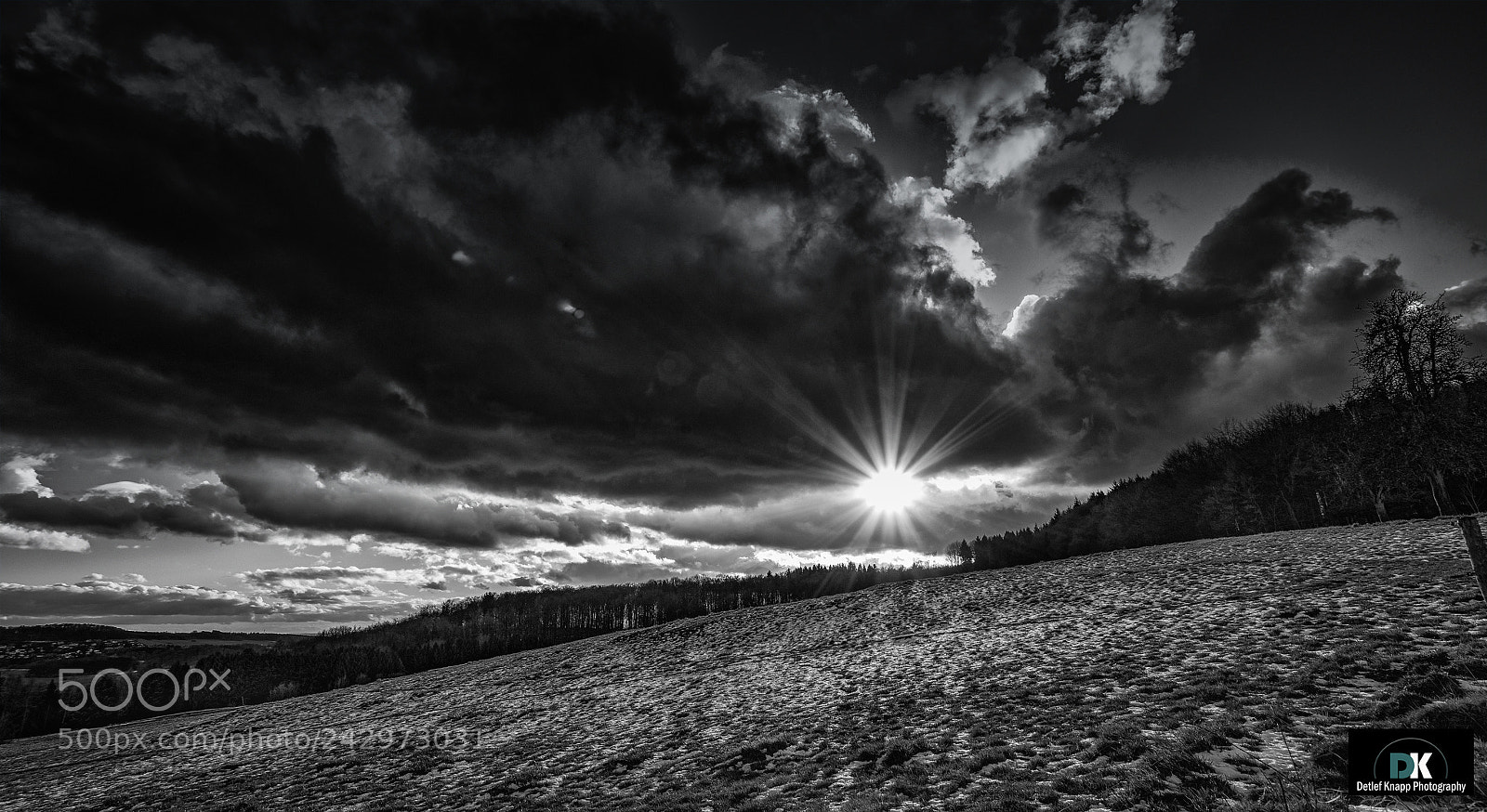 Sony a7R III sample photo. Westerwald photography