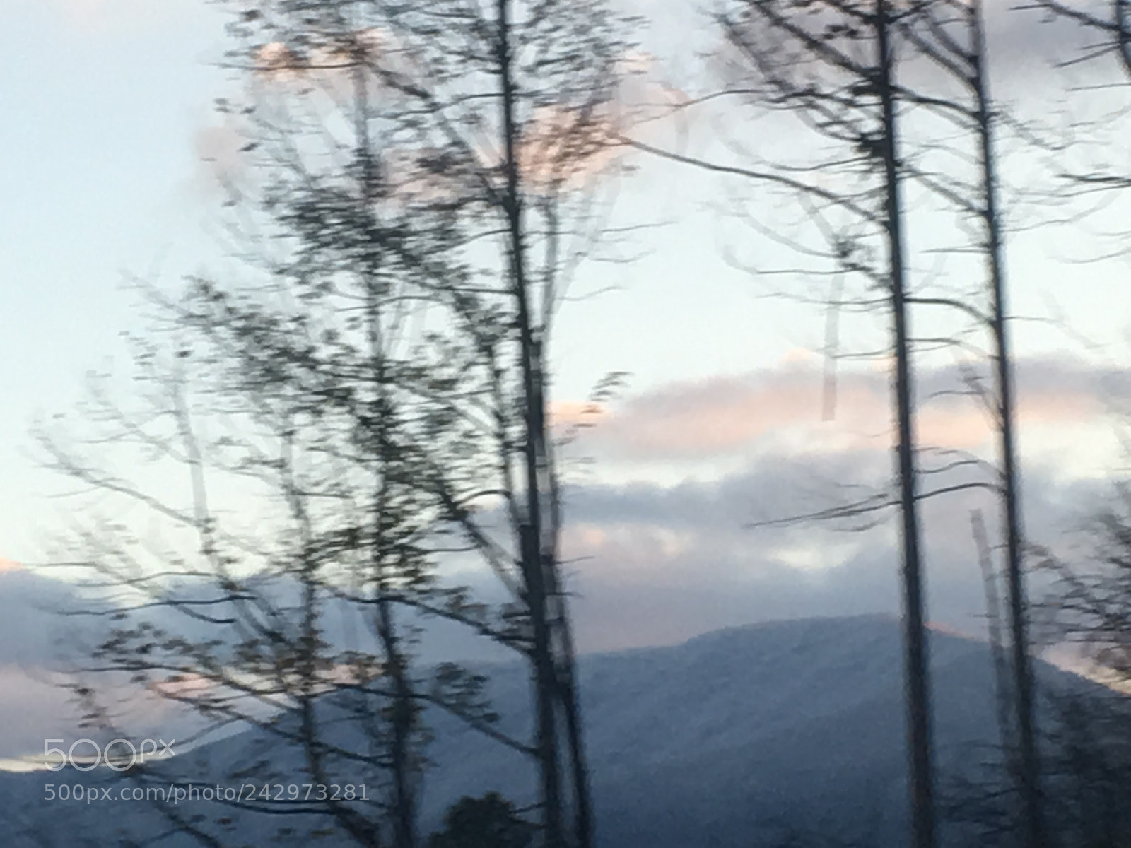 Apple iPhone SE sample photo. Great smokies of tennessee photography