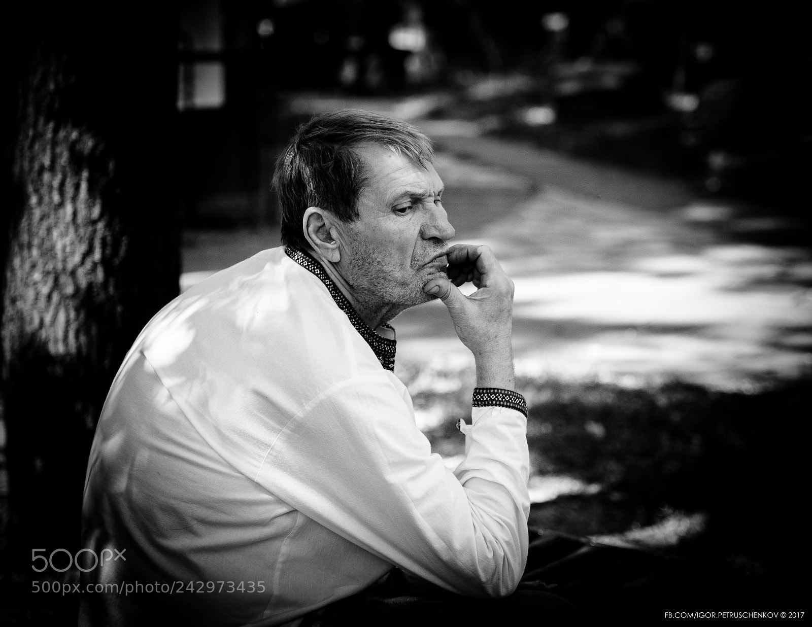 Nikon D800E sample photo. Buz_9129-56.jpg photography