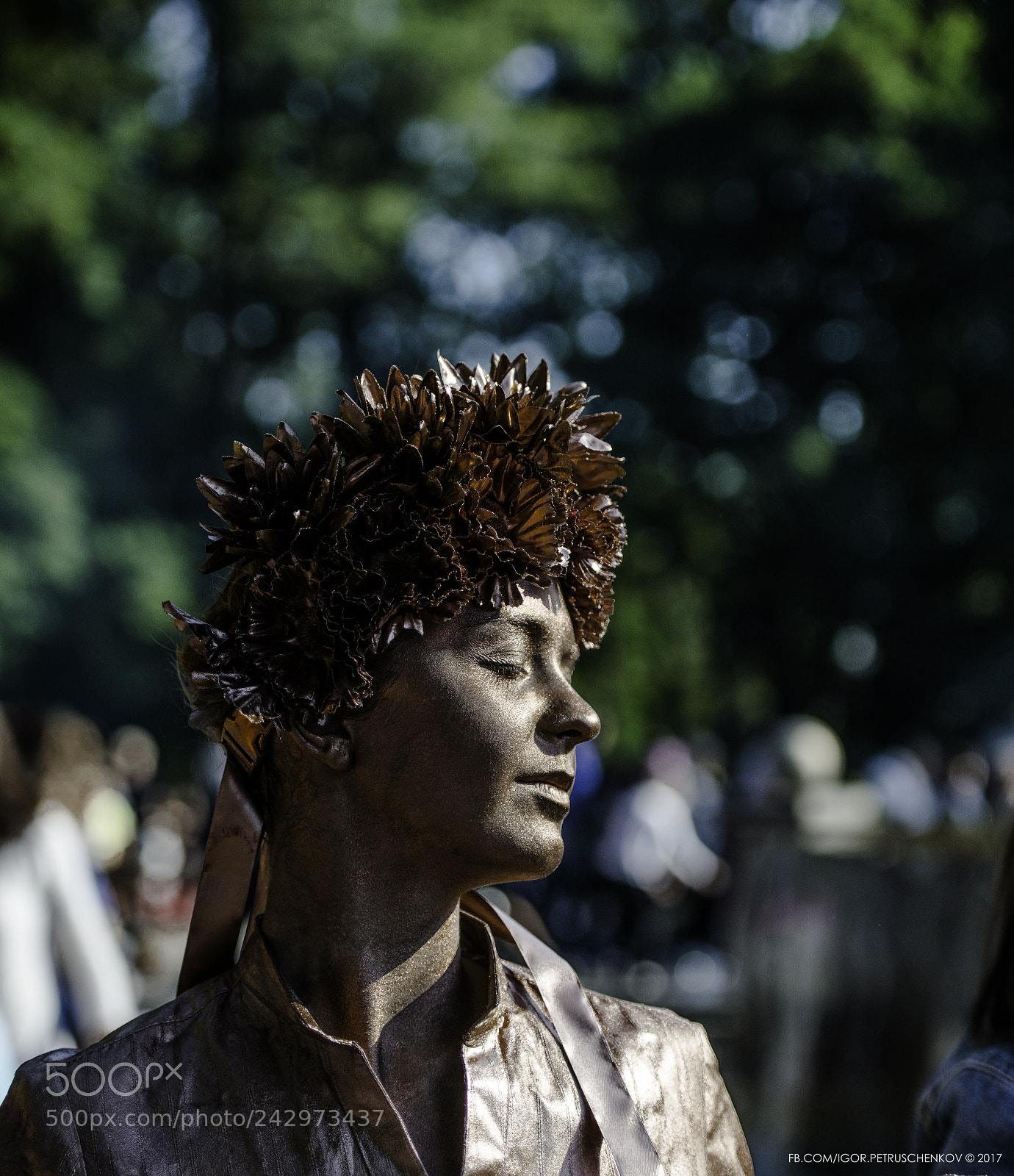 Nikon D800E sample photo. Buz_9203-75.jpg photography