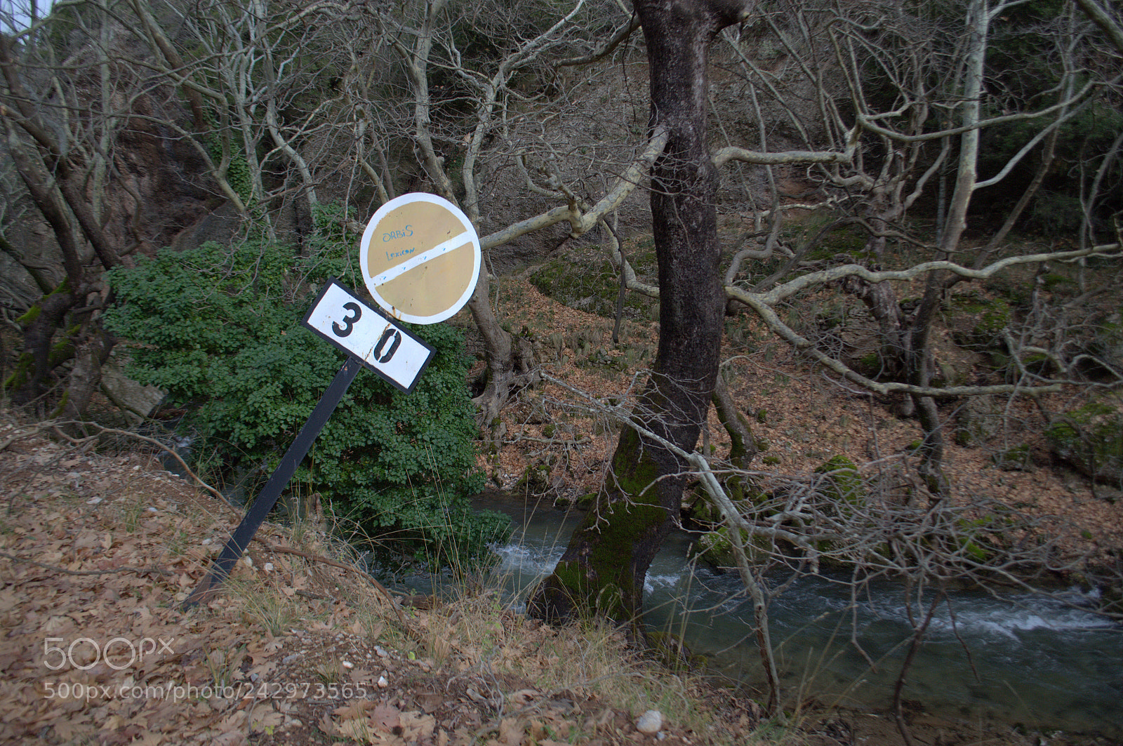 Nikon D3100 sample photo. Hiking by vouraikos river photography