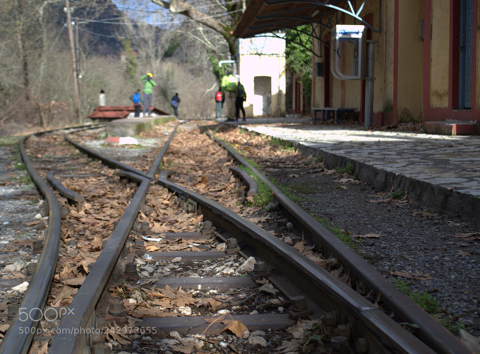 Nikon D3100 sample photo. Hiking by vouraikos river photography