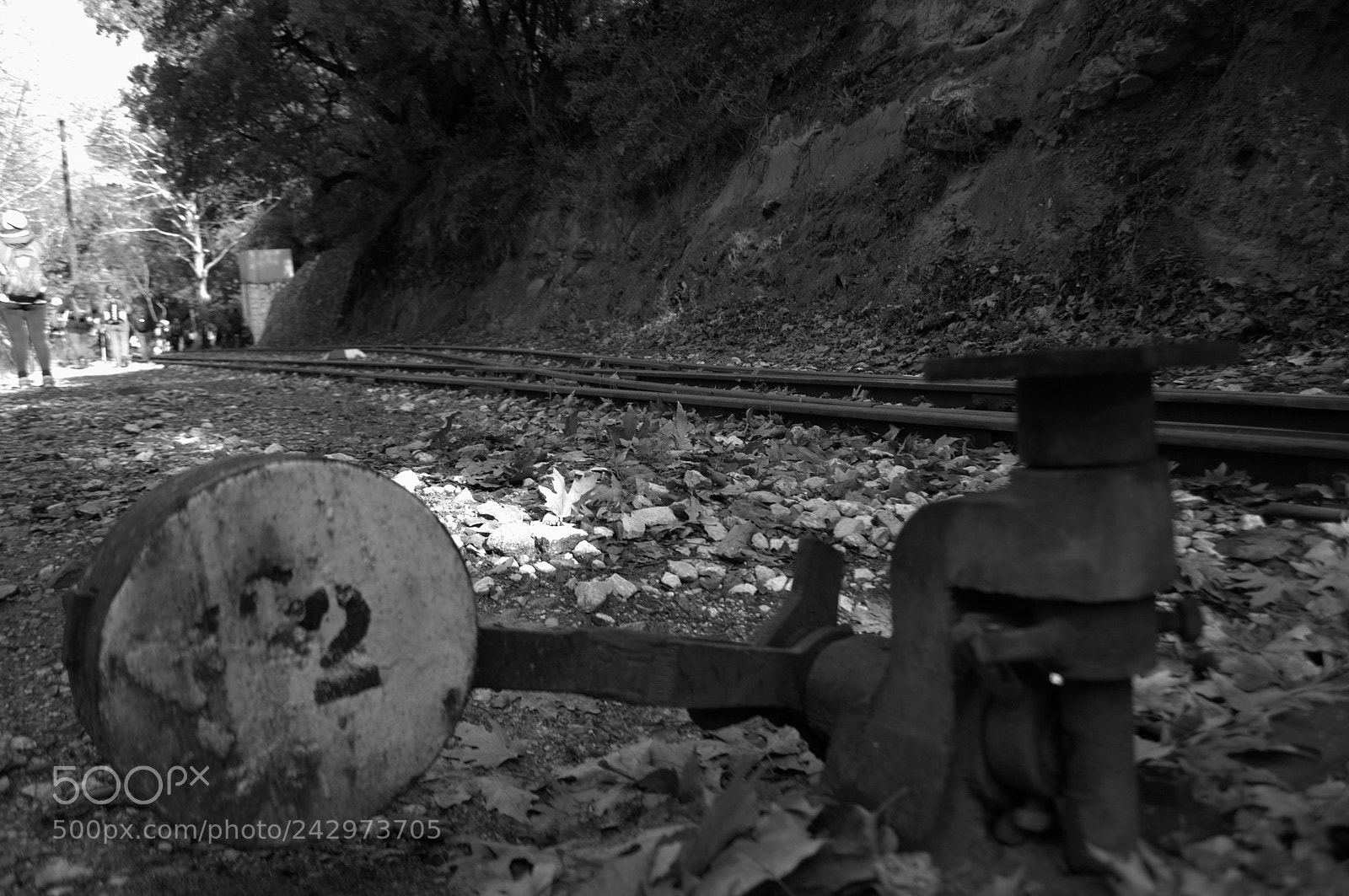 Nikon D3100 sample photo. Hiking by vouraikos river photography