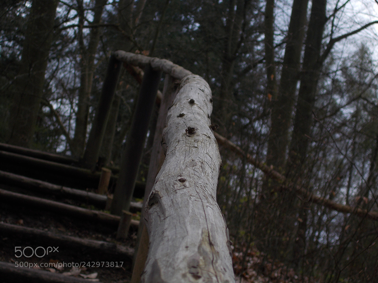 Nikon Coolpix L31 sample photo. Follow the handrail photography