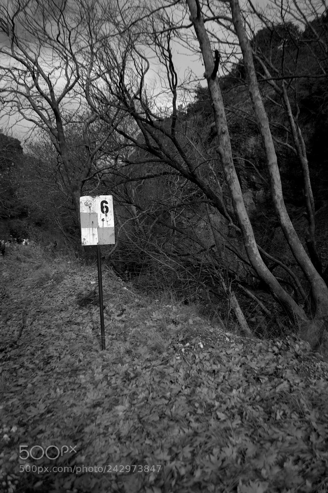 Nikon D3100 sample photo. Hiking by vouraikos river photography