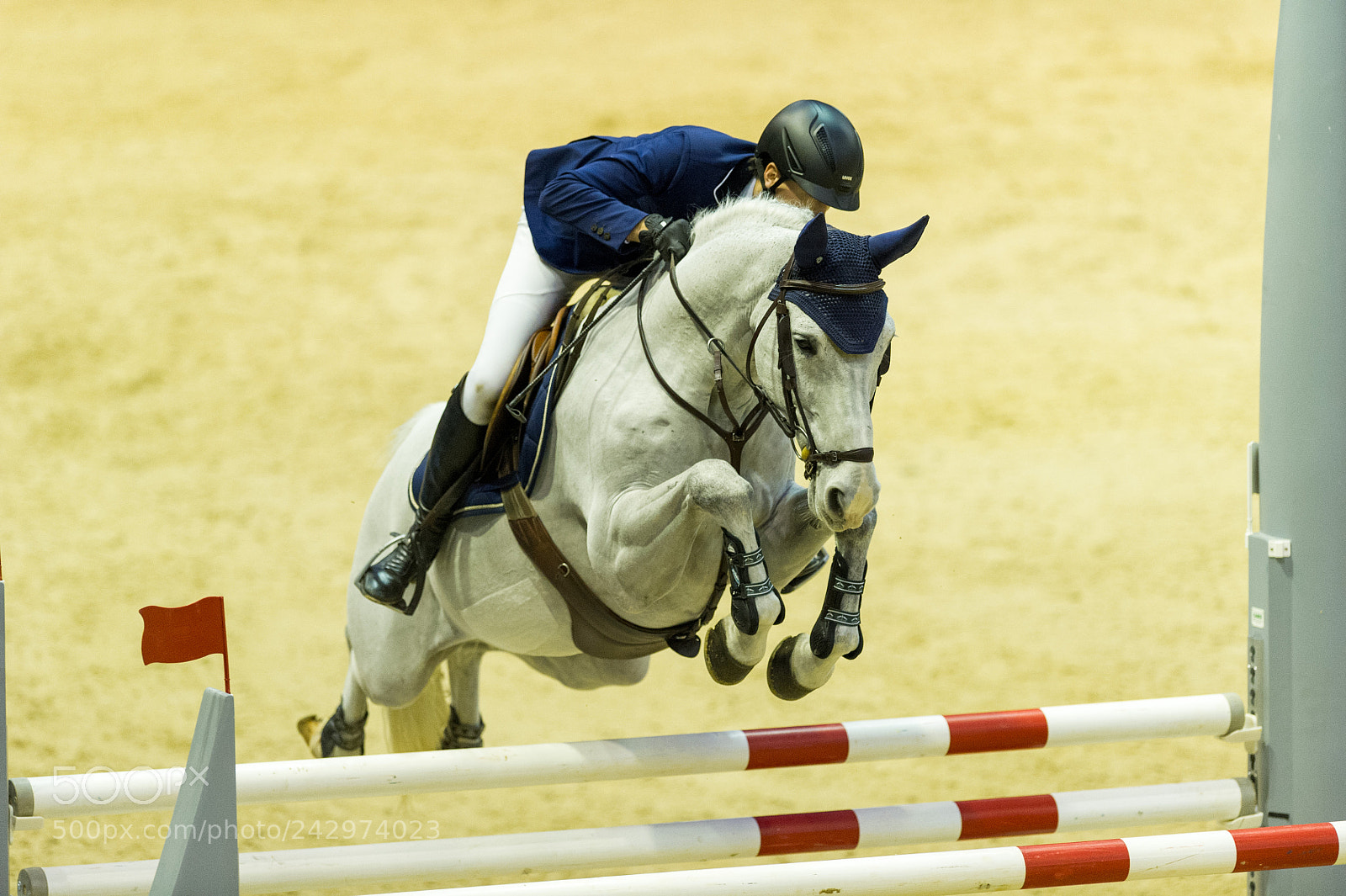Nikon D3S sample photo. Longines grand prix of photography