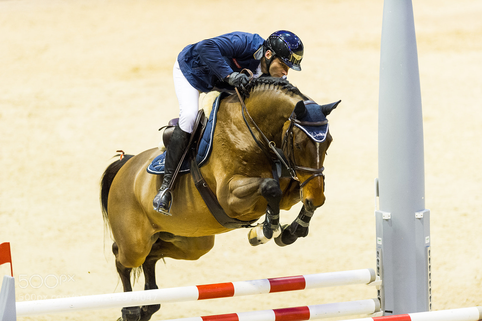 Nikon D3S sample photo. Clongines grand prix of photography