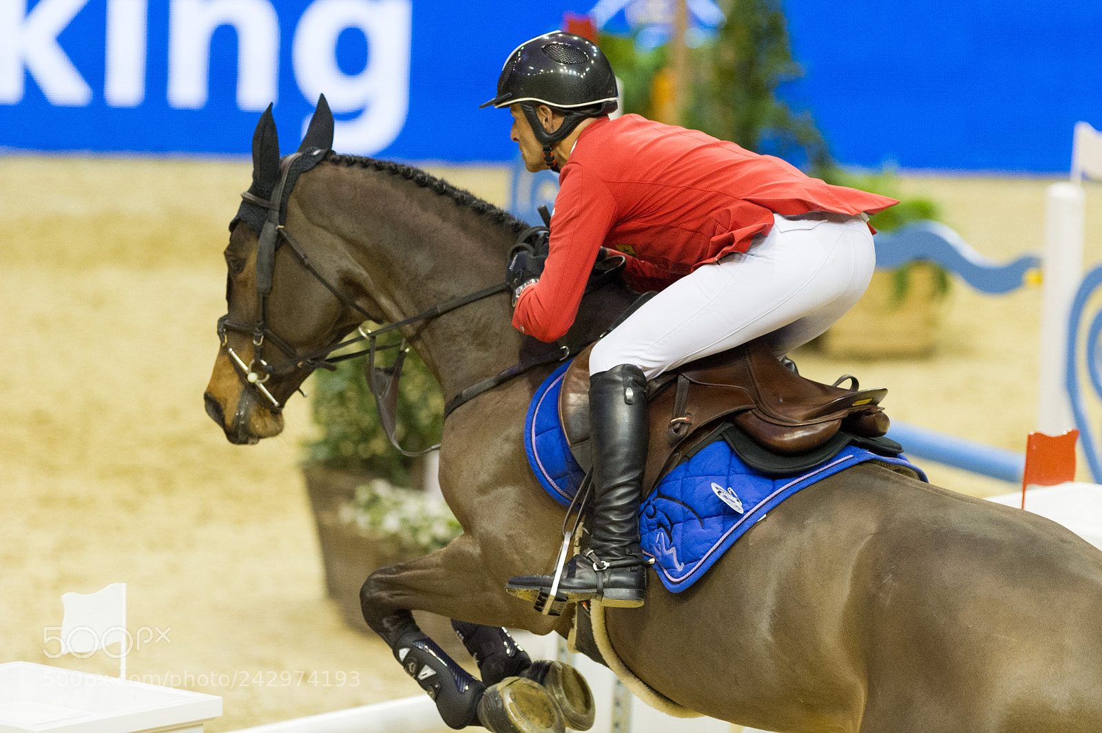 Nikon D3S sample photo. Clongines grand prix of photography