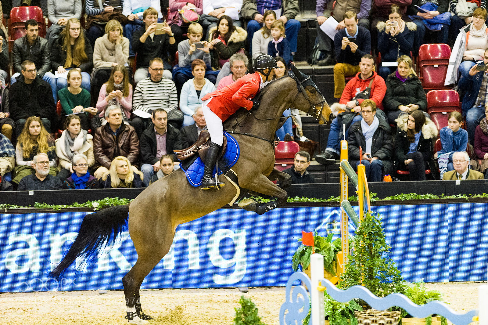 Nikon D3S sample photo. Clongines grand prix of photography