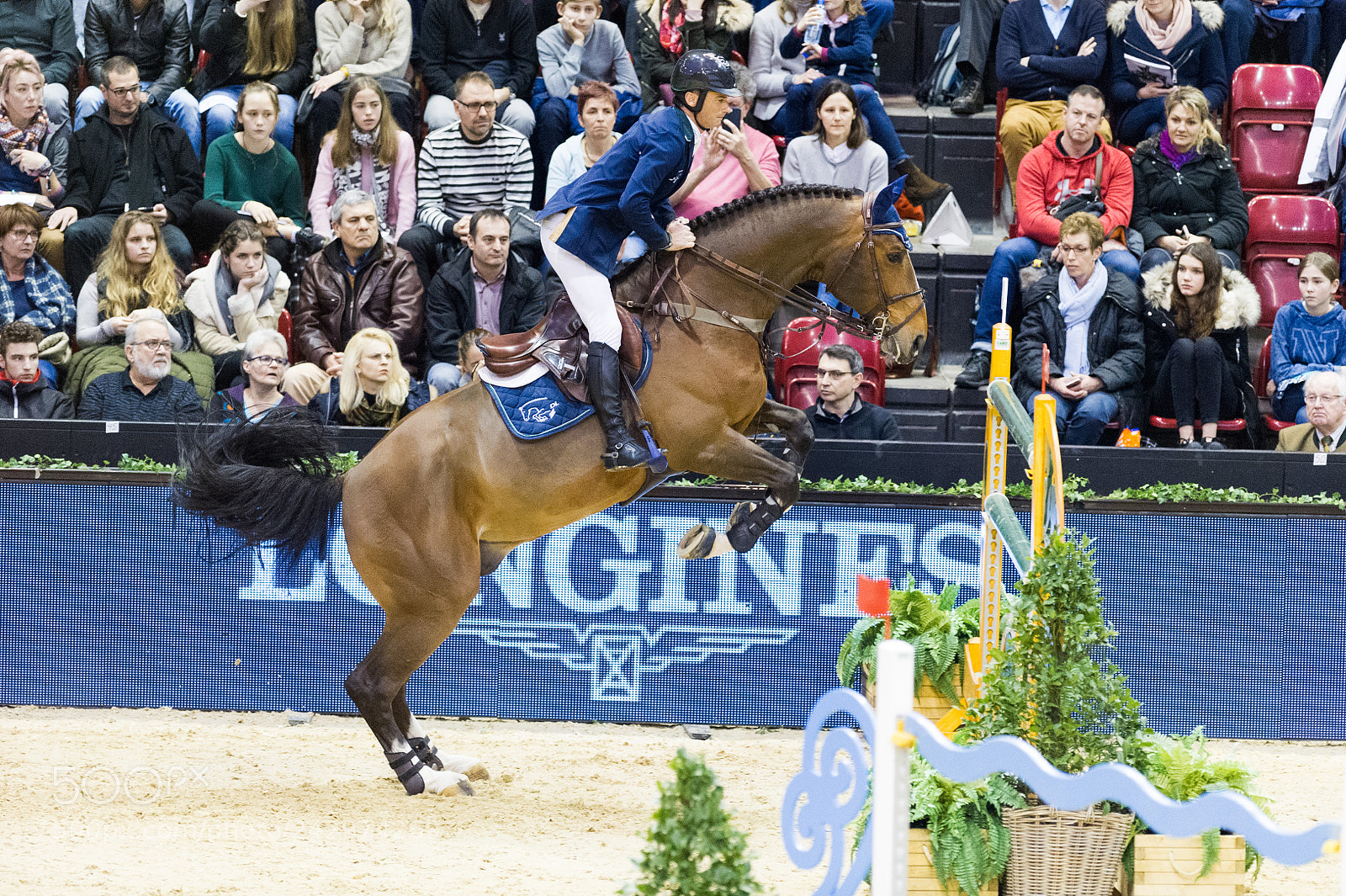 Nikon D3S sample photo. Clongines grand prix of photography