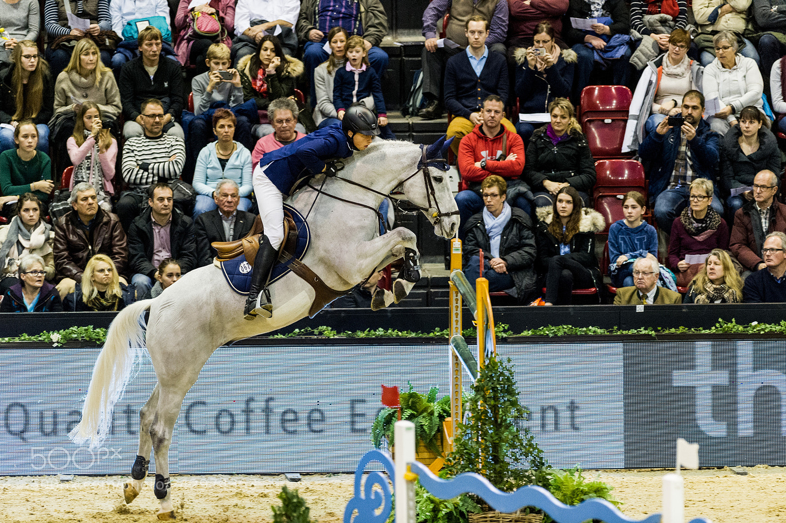 Nikon D3S sample photo. Clongines grand prix of photography