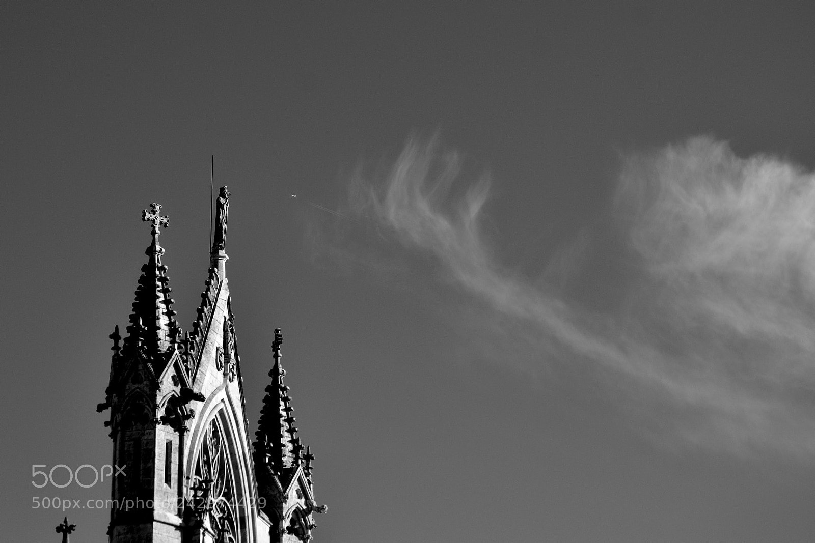 Nikon D3100 sample photo. Untitled photography