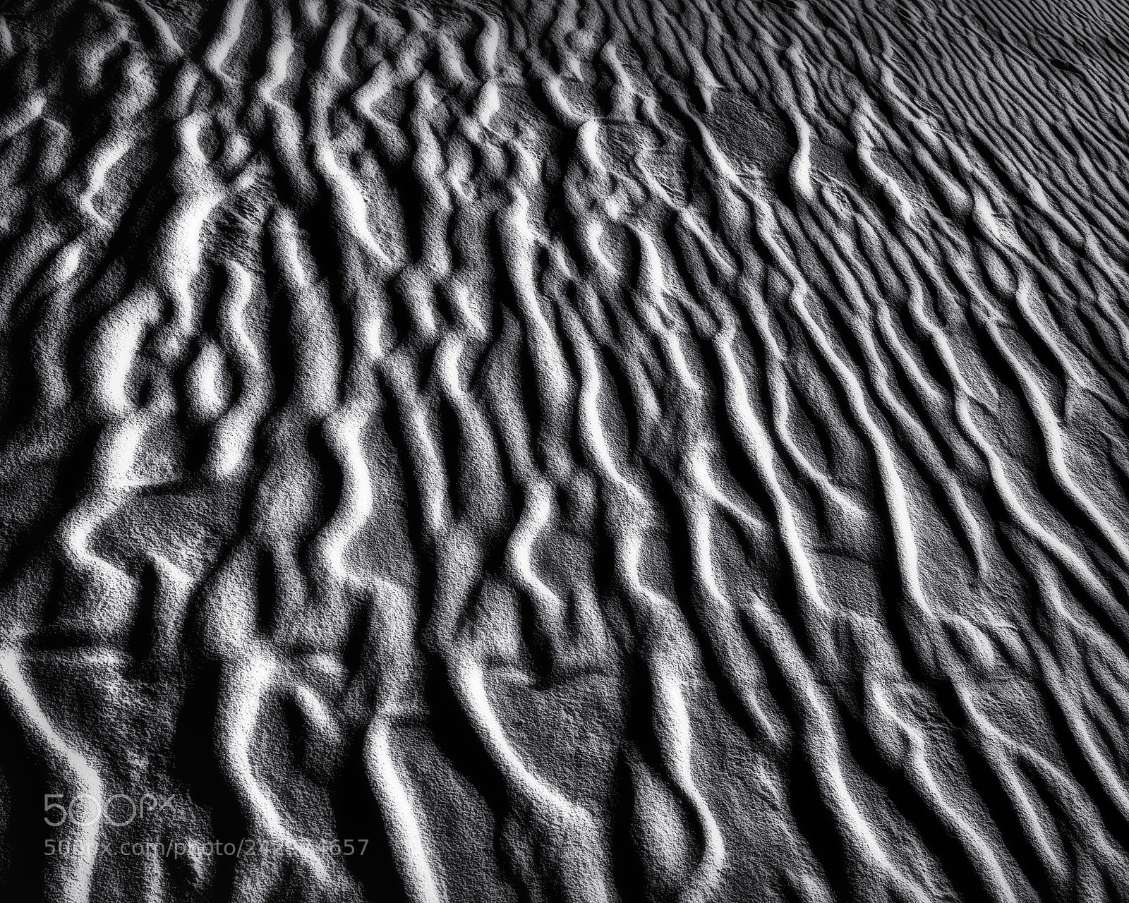 Sony a7R sample photo. Moon light on beach photography