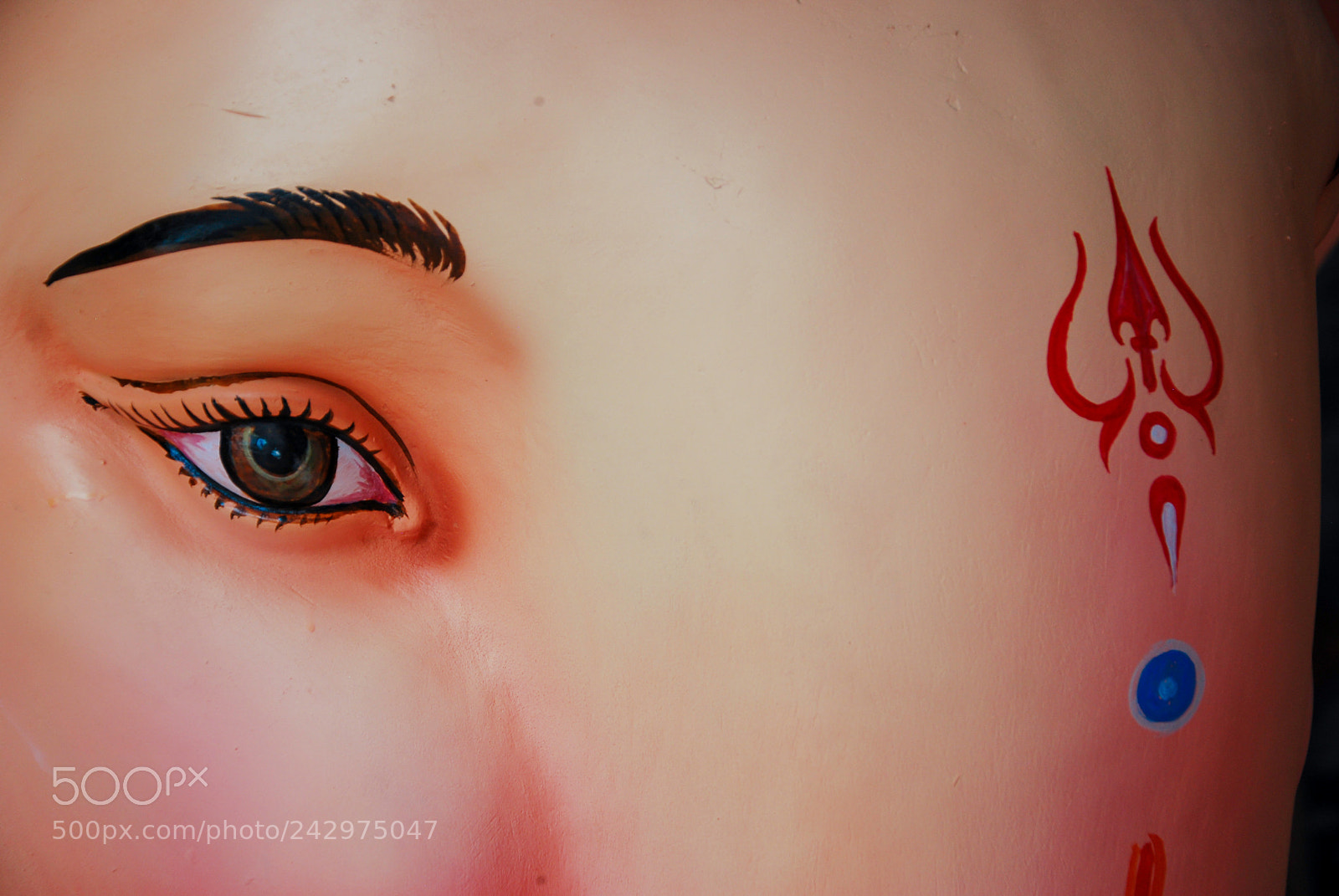 Nikon D40X sample photo. Perspective closeup of lord photography