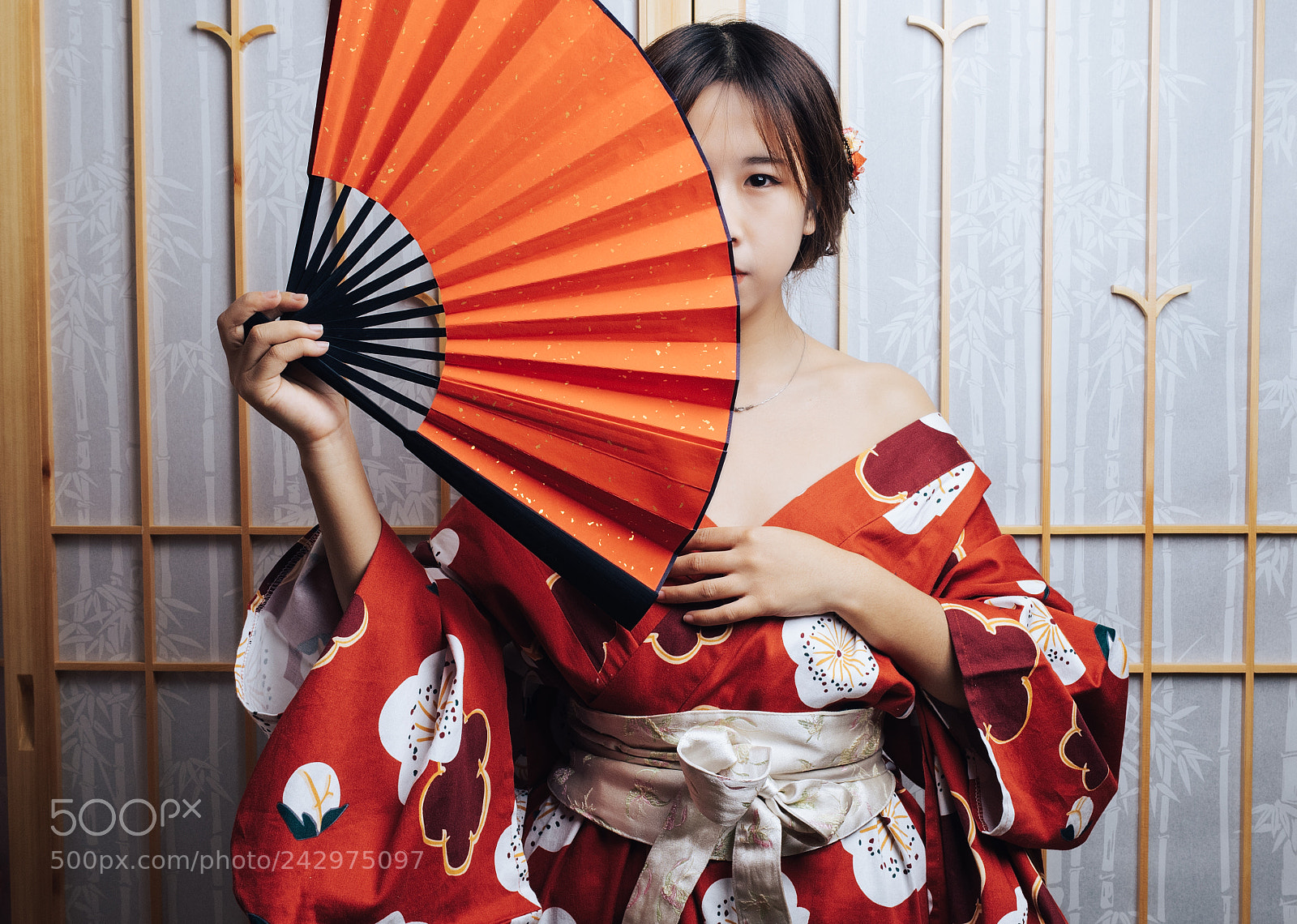 Olympus OM-D E-M1 sample photo. Kimono photography