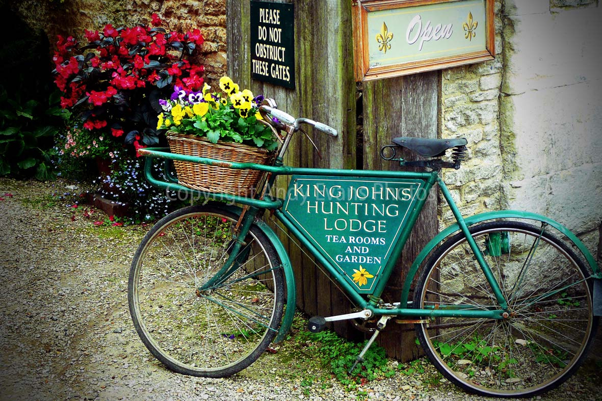 Panasonic DMC-TZ3 sample photo. Lacock village, old bike and pansies, wiltshire, england photography