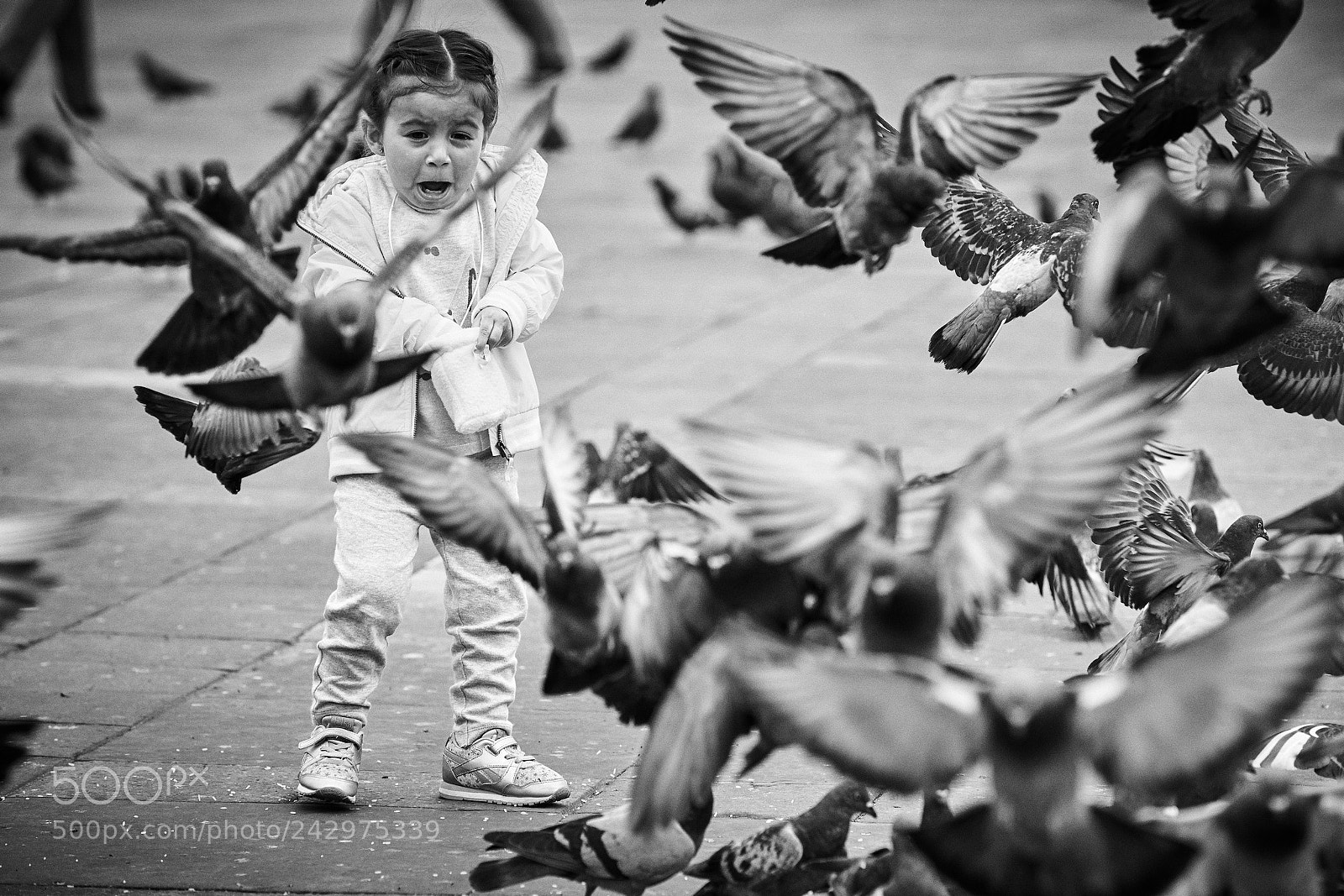 Sony a7R II sample photo. Girl with pigeons 2 photography