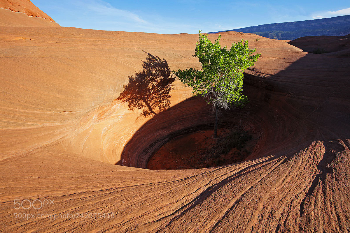 Canon EOS 5DS R sample photo. Dance hall rock in photography