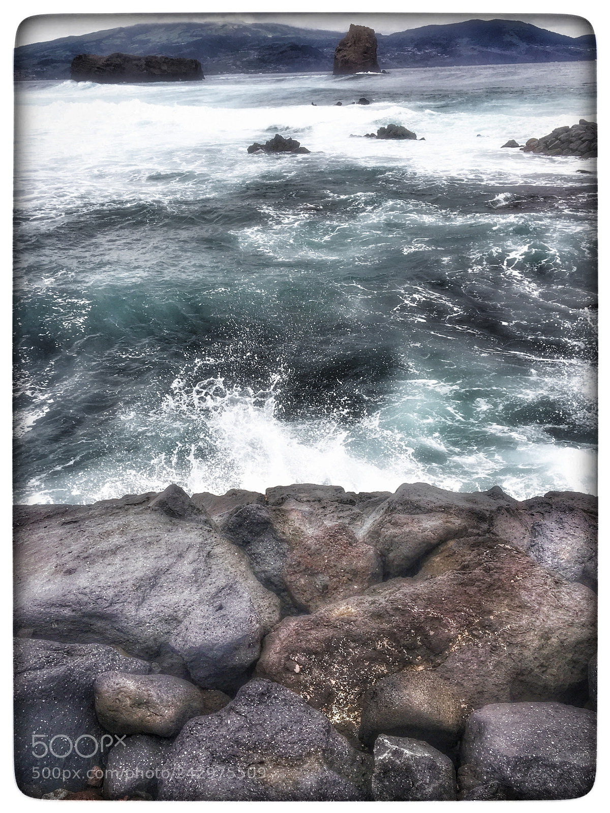 Apple iPhone 6s sample photo. Untitled photography