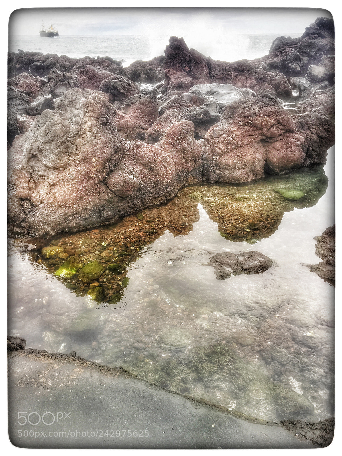 Apple iPhone 6s sample photo. Untitled photography