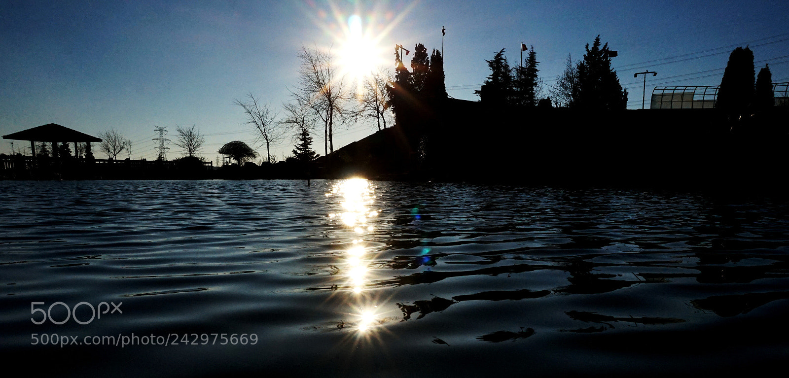 Sony Alpha a5000 (ILCE 5000) sample photo. Lensshine photography