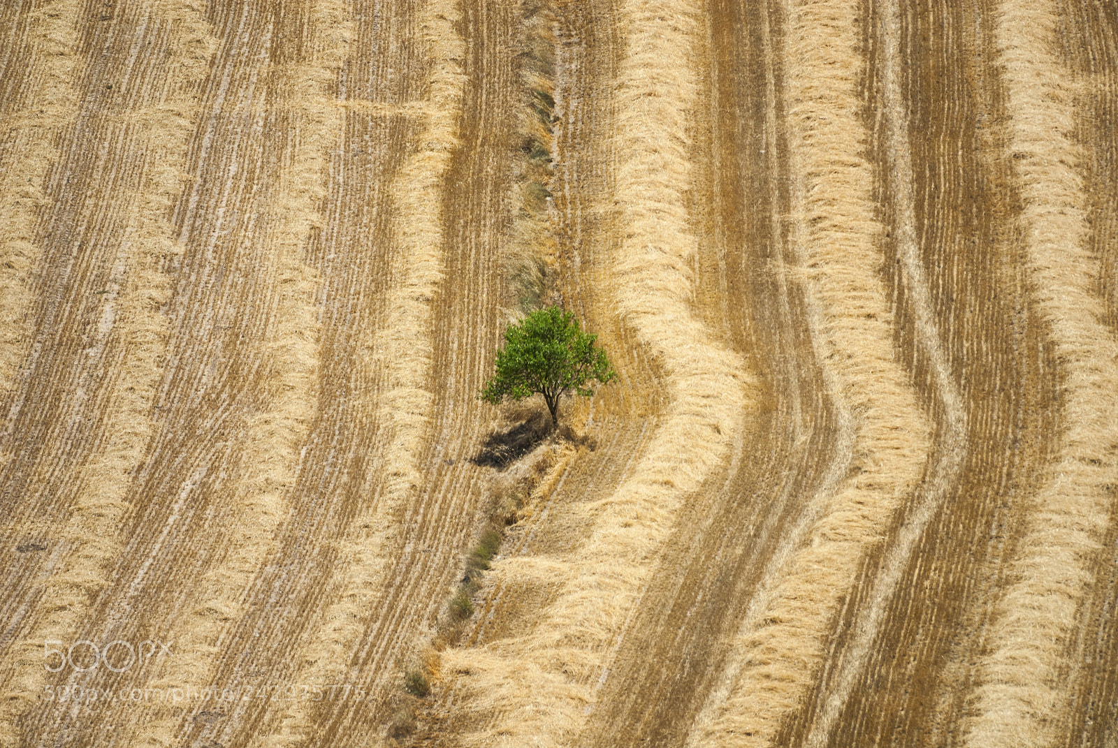 Nikon D200 sample photo. Country landscape from cervera photography