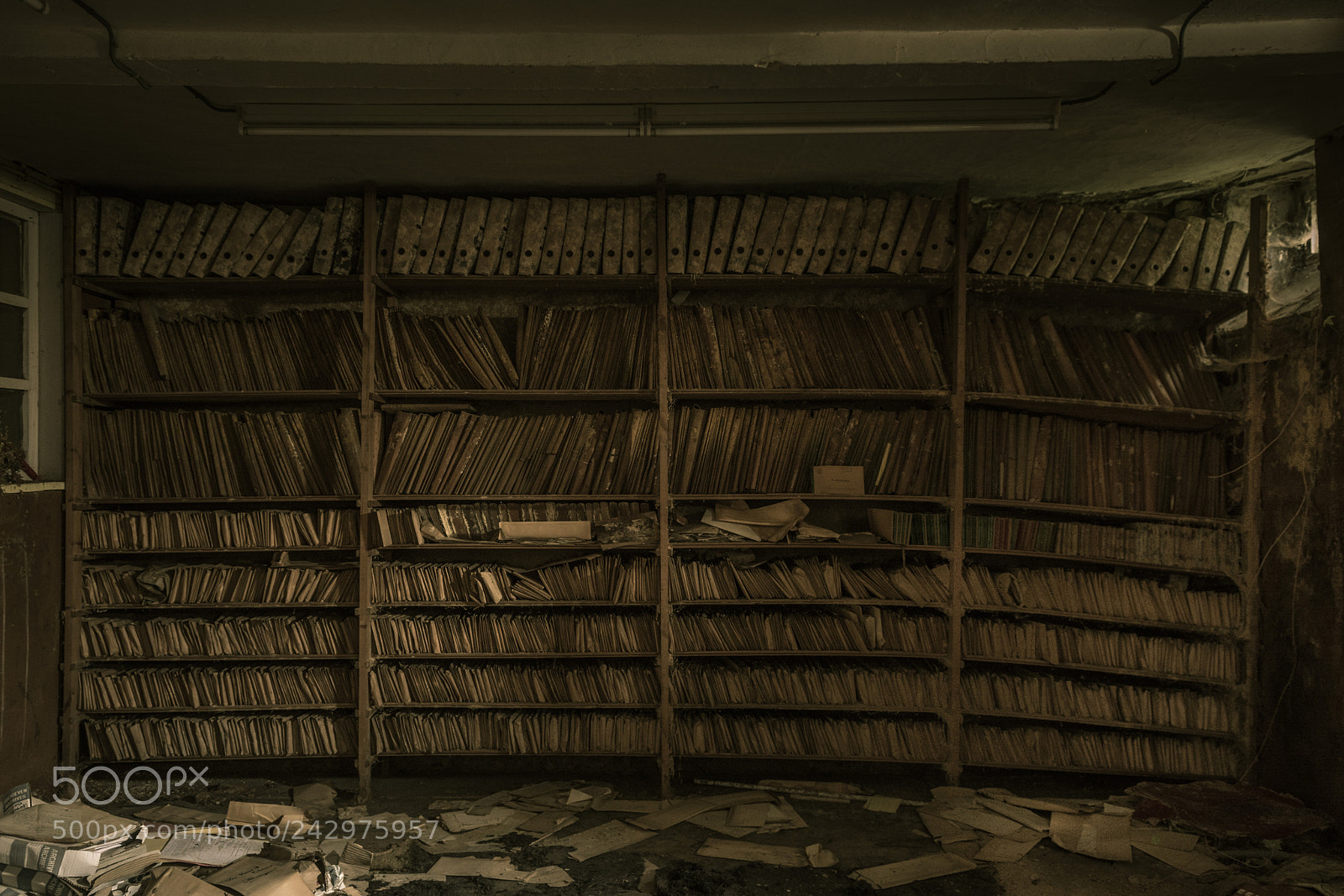 Nikon D7100 sample photo. Bookshelf photography