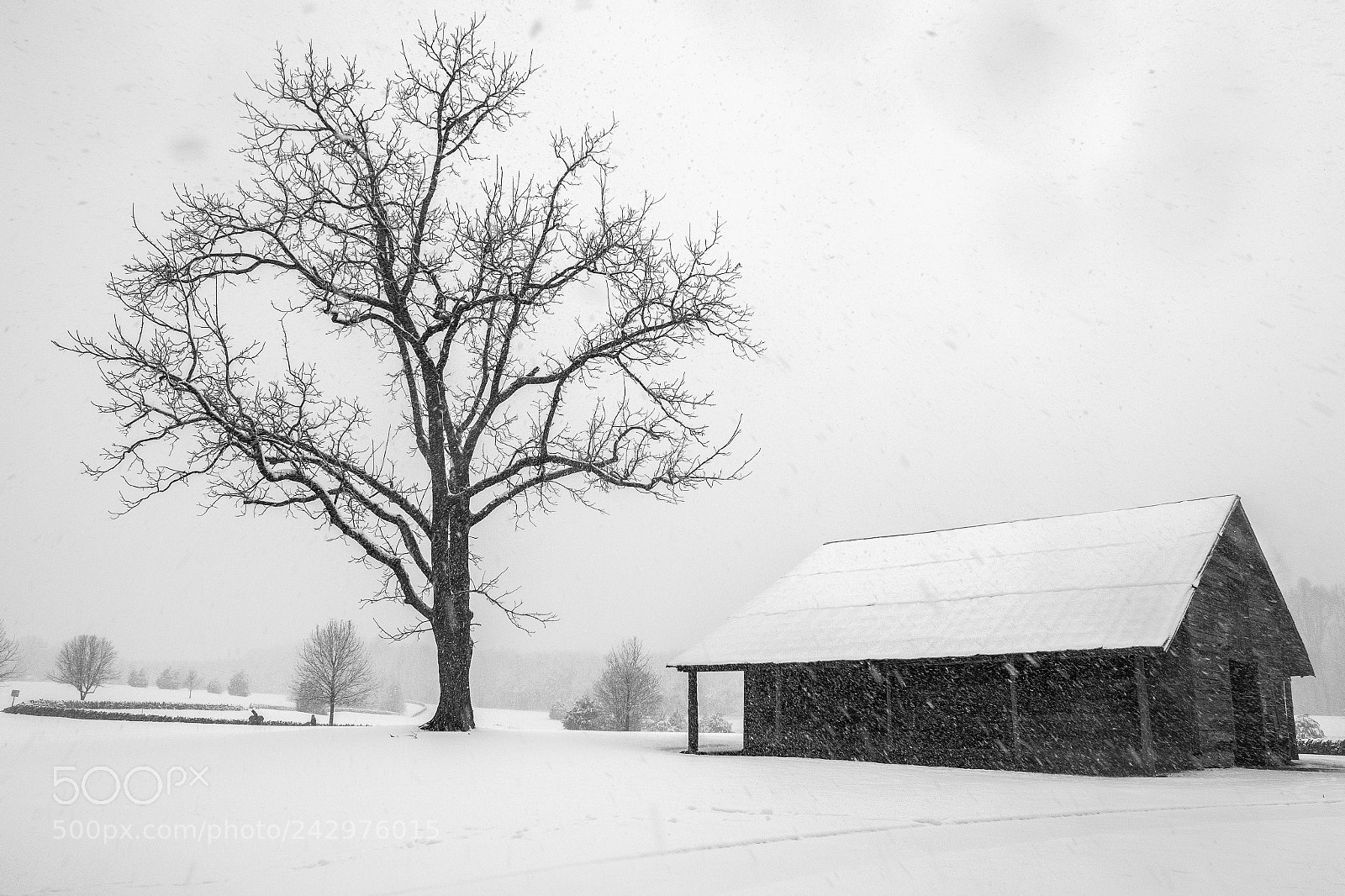 Fujifilm X-E3 sample photo. Cold winter's day photography