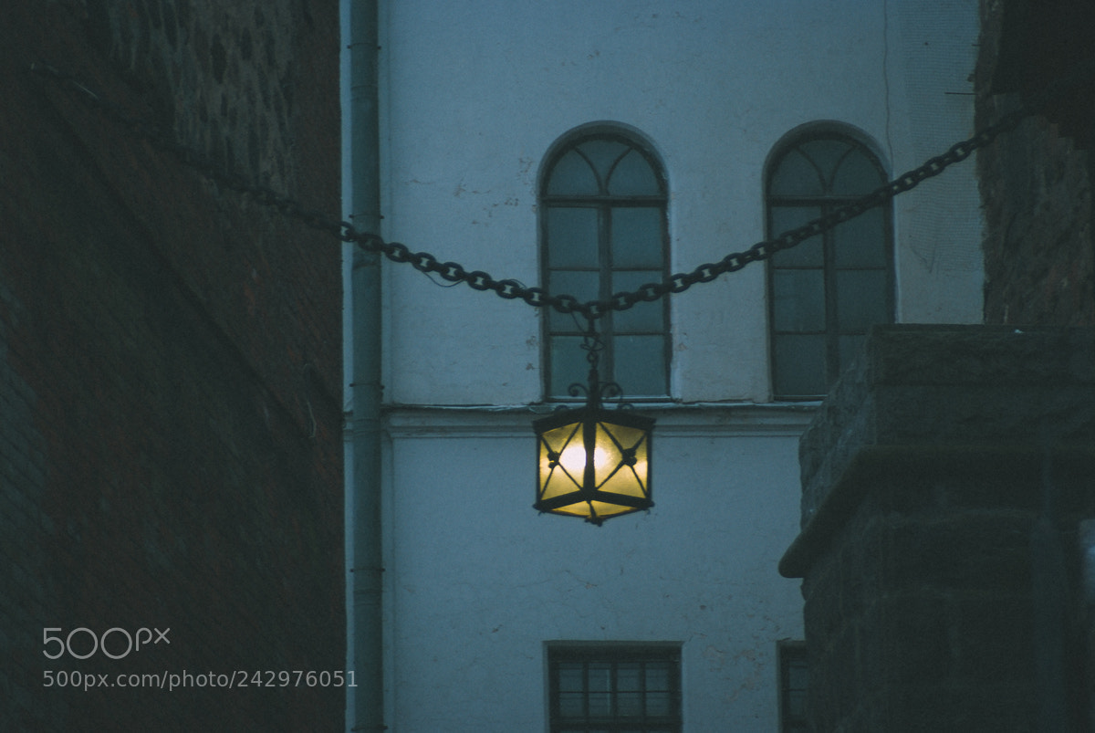 Fujifilm FinePix S5 Pro sample photo. Vyborg castle photography