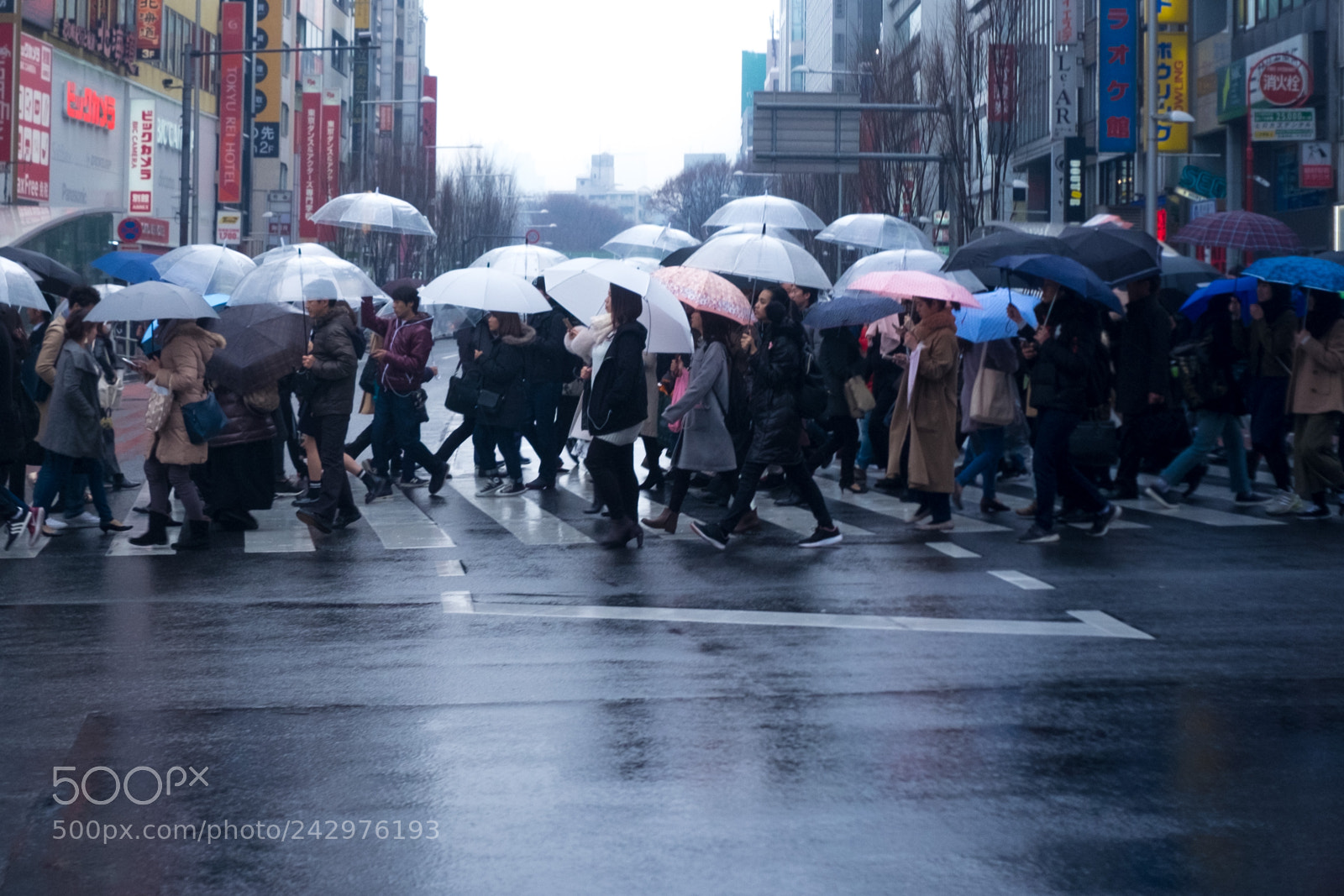 Fujifilm X-T10 sample photo. Umbrella photography