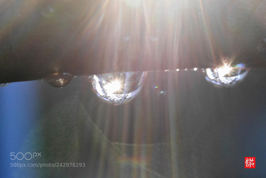 Panasonic Lumix DMC-GX7 sample photo. Light shower 0118 photography