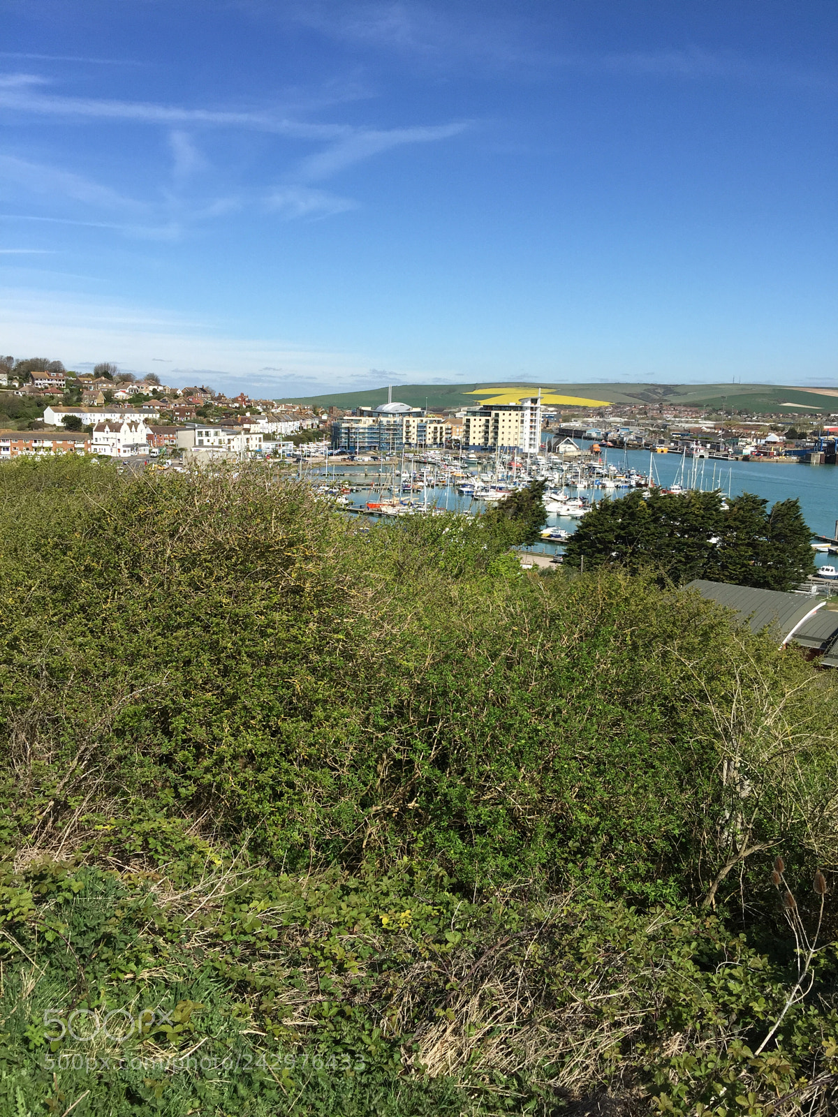 Apple iPhone 6 Plus sample photo. This is a shot photography