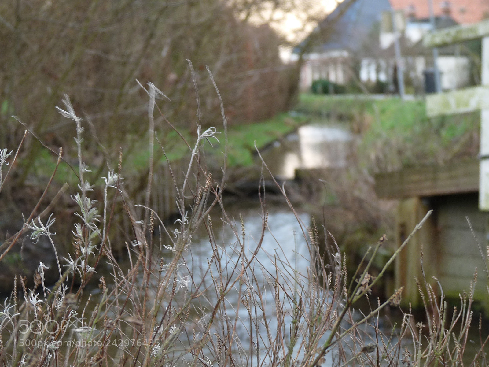 Panasonic Lumix DMC-FZ28 sample photo. Keen witted twigs photography