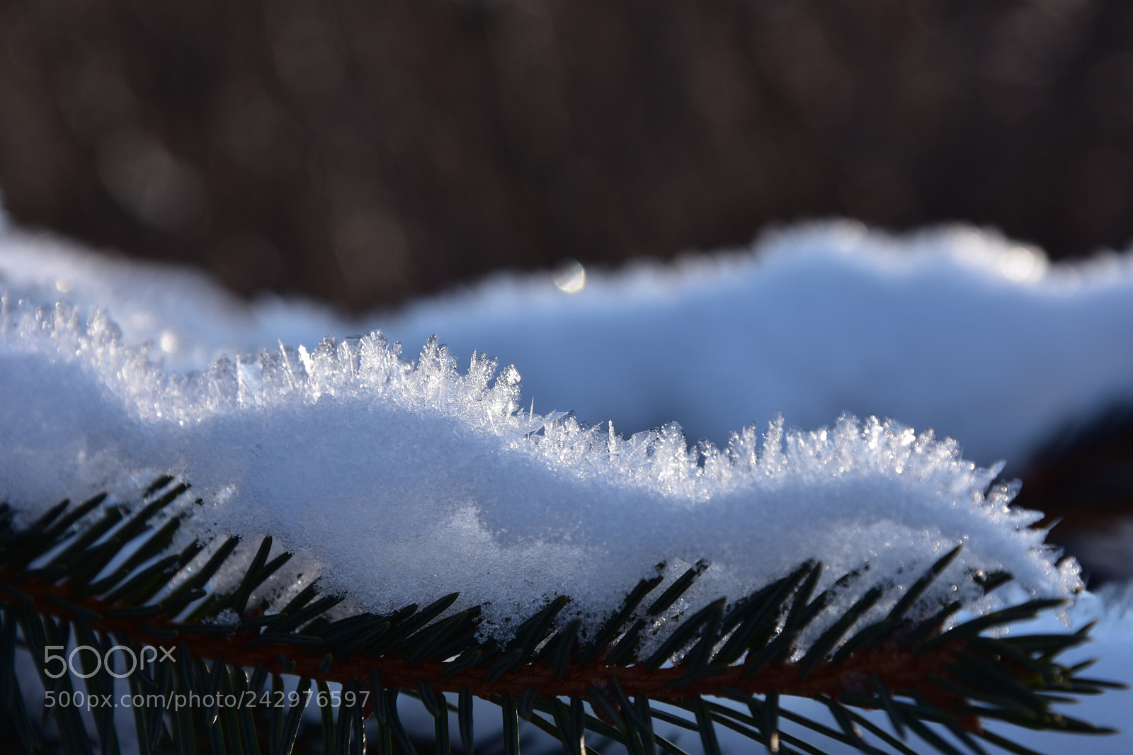 Nikon D7200 sample photo. Warm ice photography