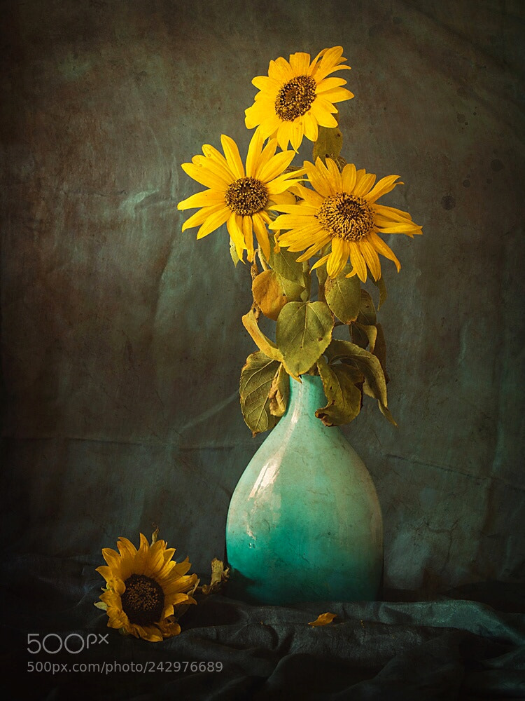 Pentax K-1 sample photo. Sunflowers photography
