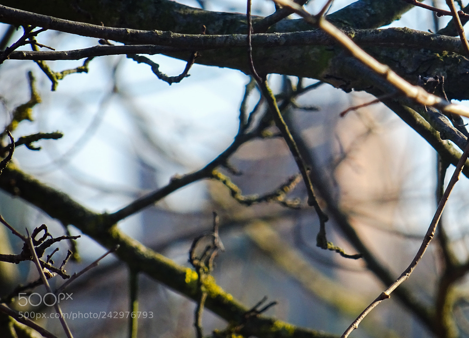 Sony DSC-HX60 sample photo. Over the reality photography
