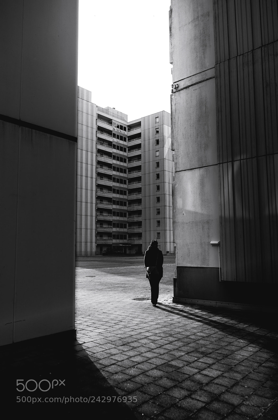 Sony a7 sample photo. Concrete backyard ii photography