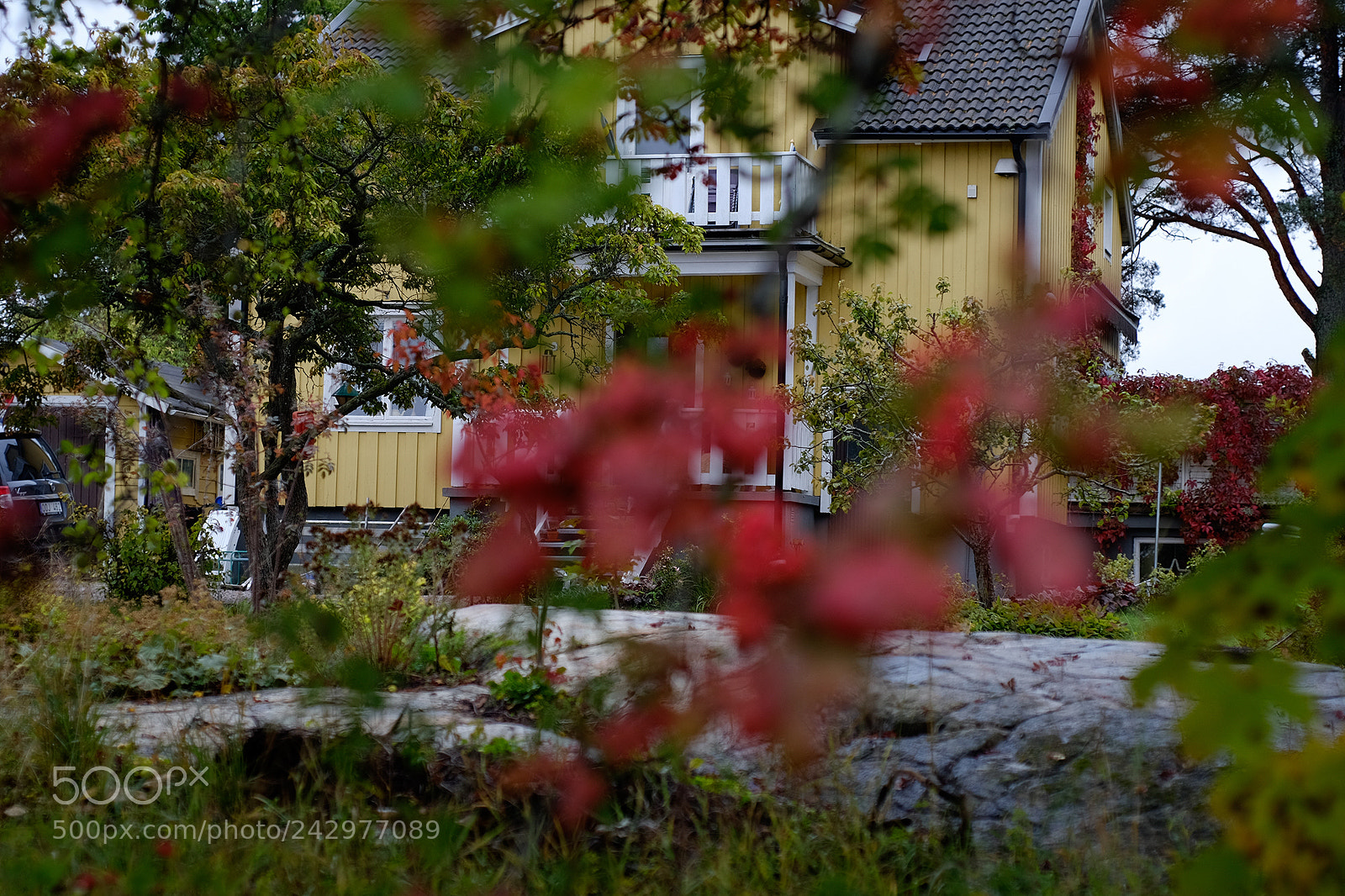 Fujifilm X-T10 sample photo. Busy red photography