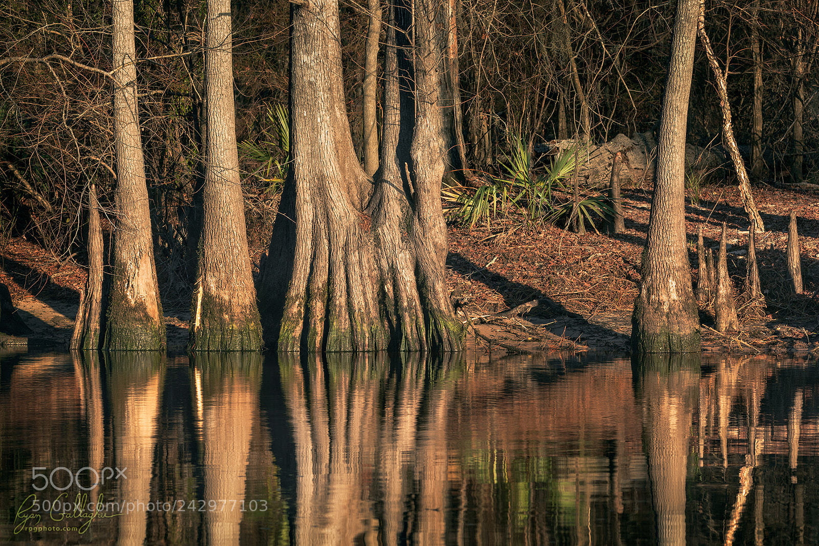 Canon EOS 7D Mark II sample photo. Sunset riverside reflections photography