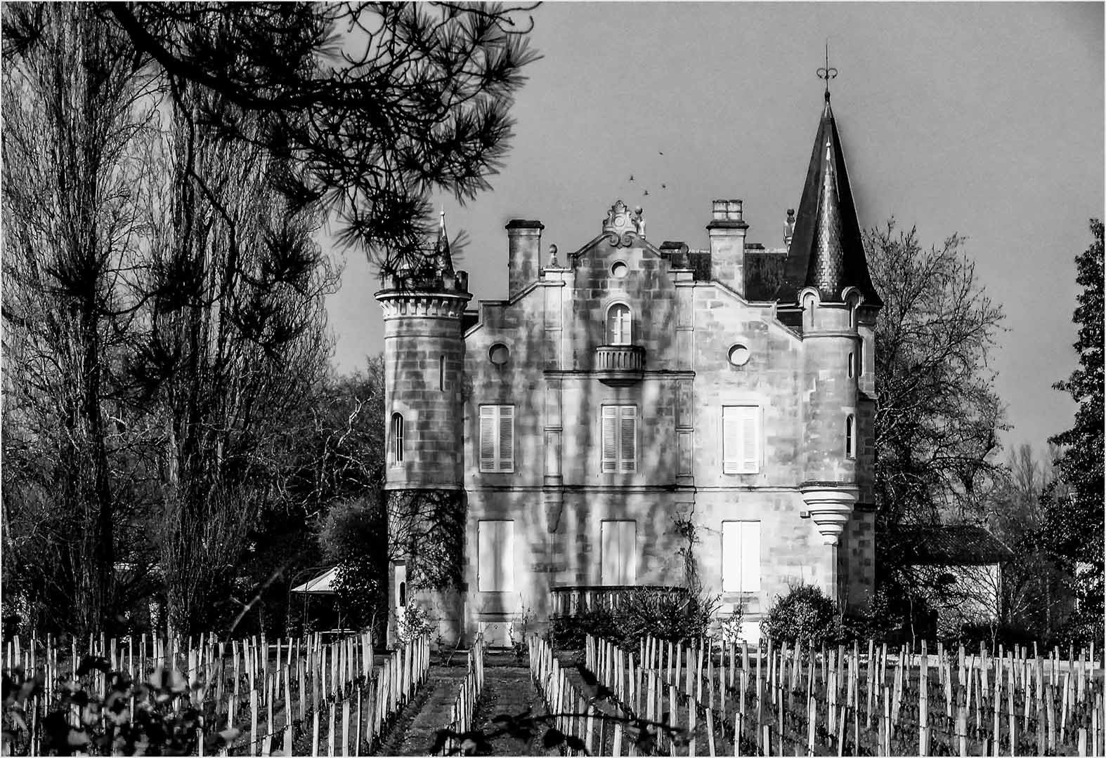 Sony Cyber-shot DSC-H55 sample photo. Château haut bergey léognan photography