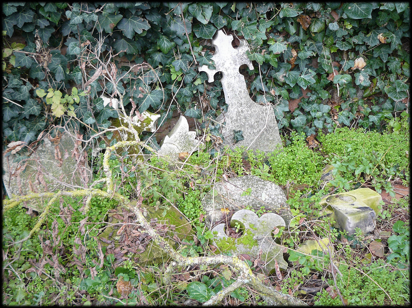 Panasonic DMC-FZ8 sample photo. Cimetiere photography