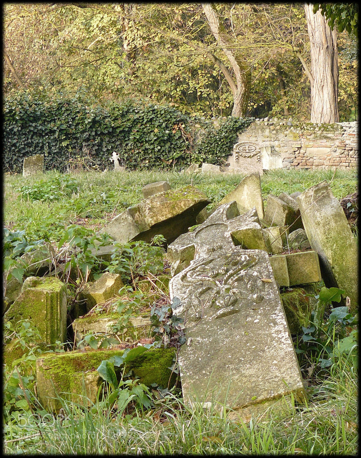 Panasonic DMC-FZ8 sample photo. Cimetiere photography