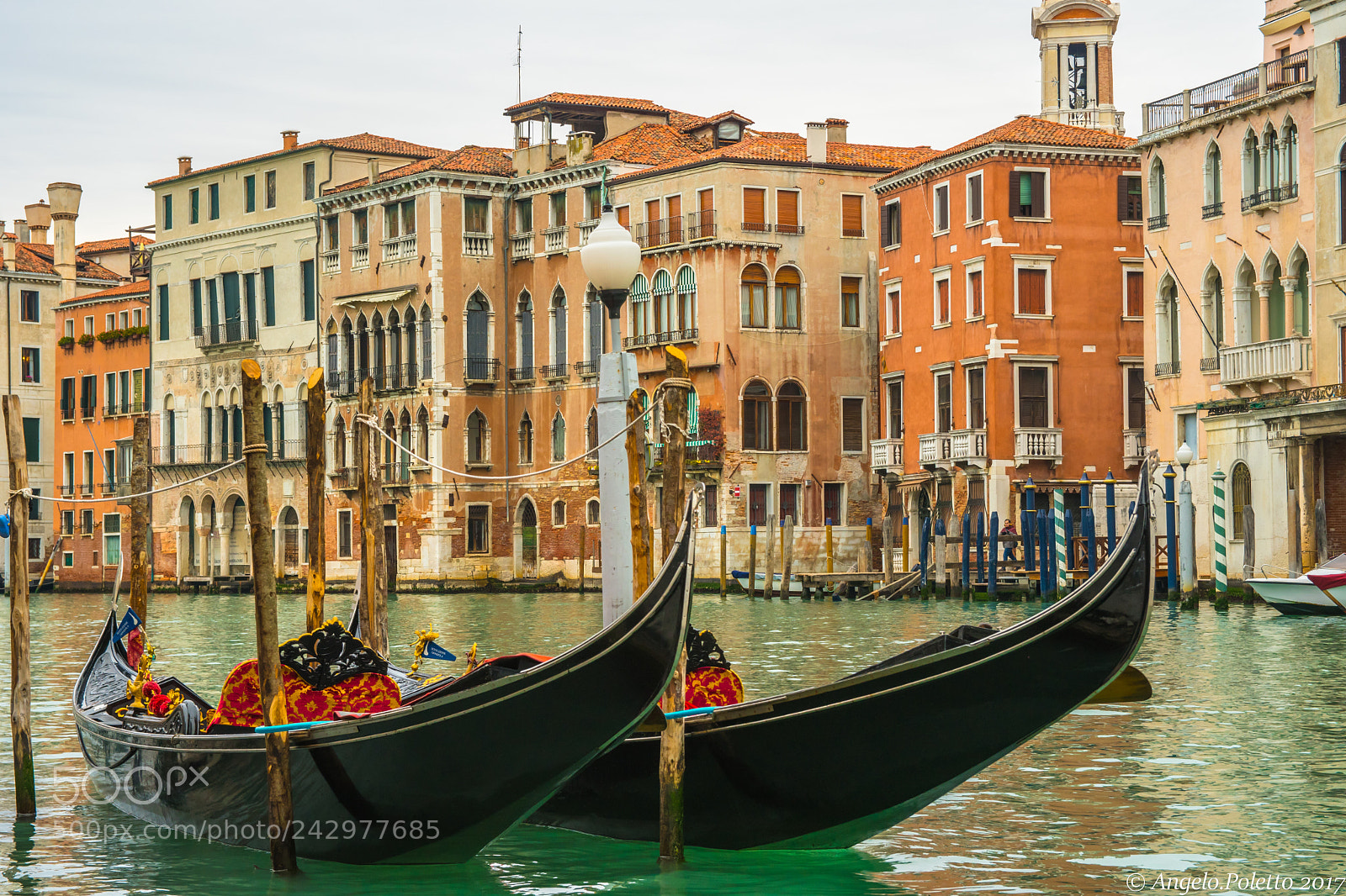 Nikon D500 sample photo. Venezia 2017 photography