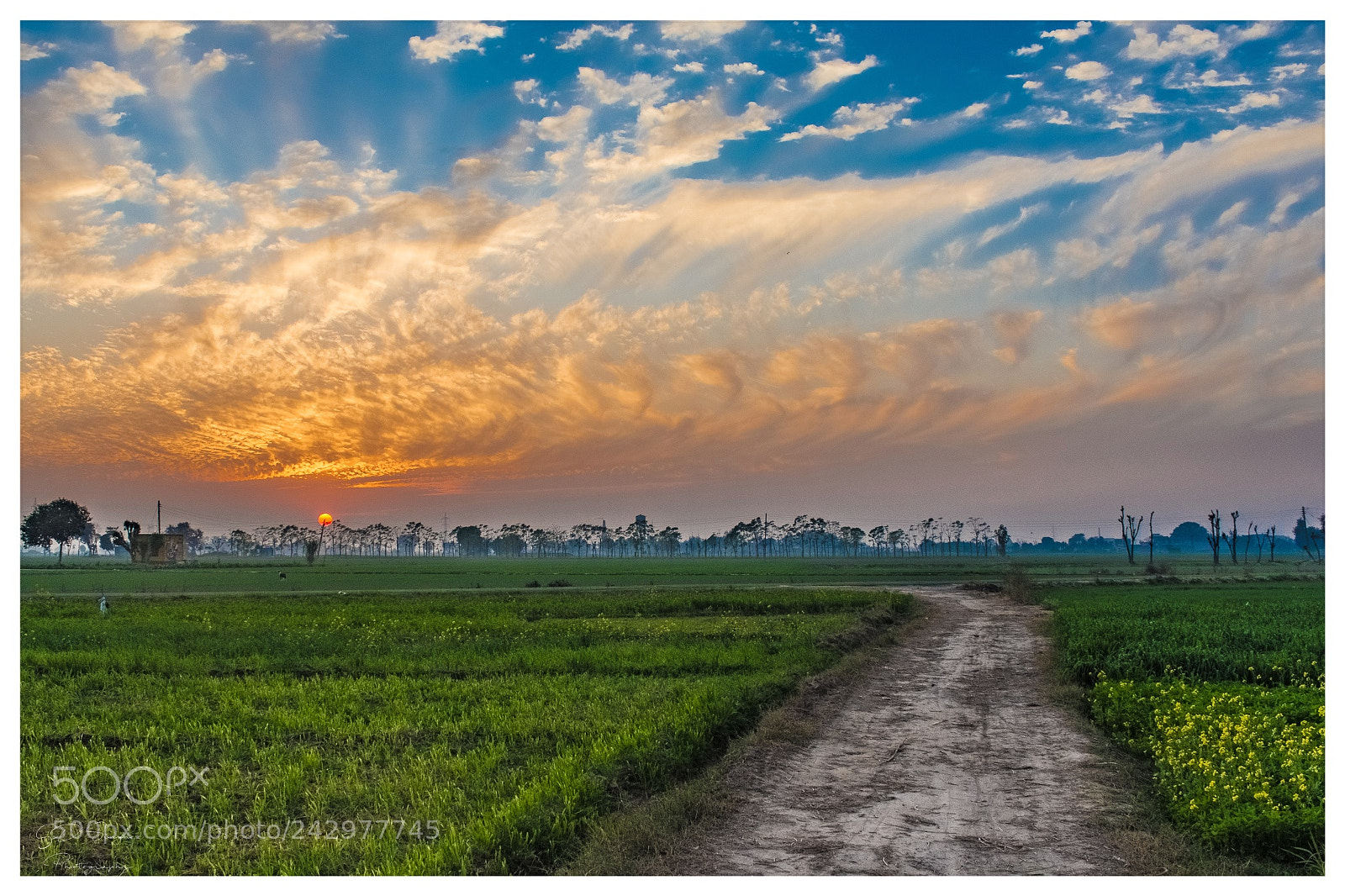 Nikon D7200 sample photo. Picturesque sunset photography