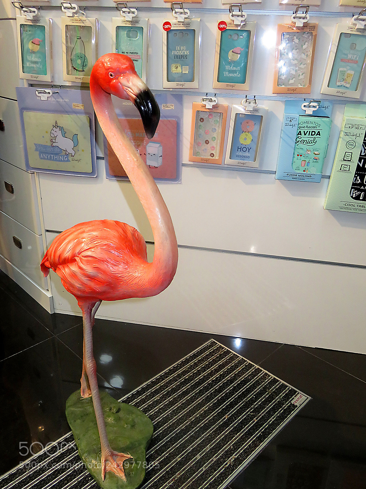 Canon PowerShot SX710 HS sample photo. Pink flamingo photography