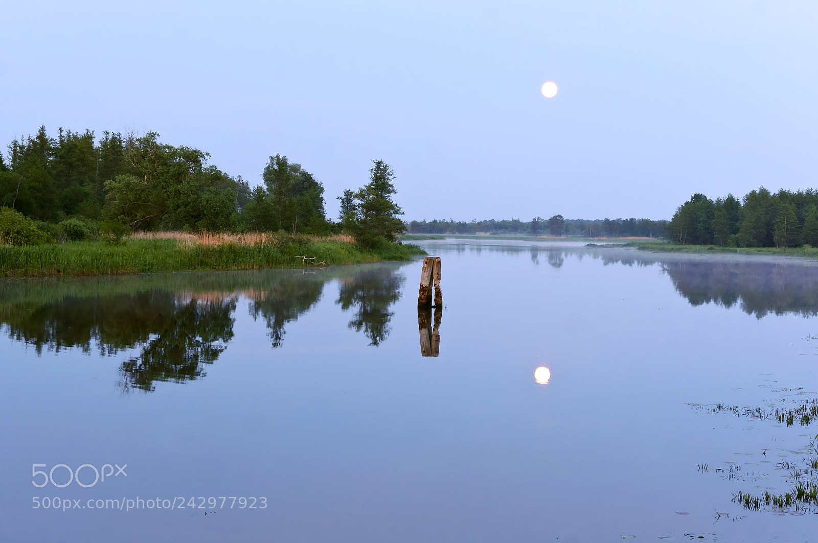 Sony Alpha NEX-3N sample photo. The reflection of the photography