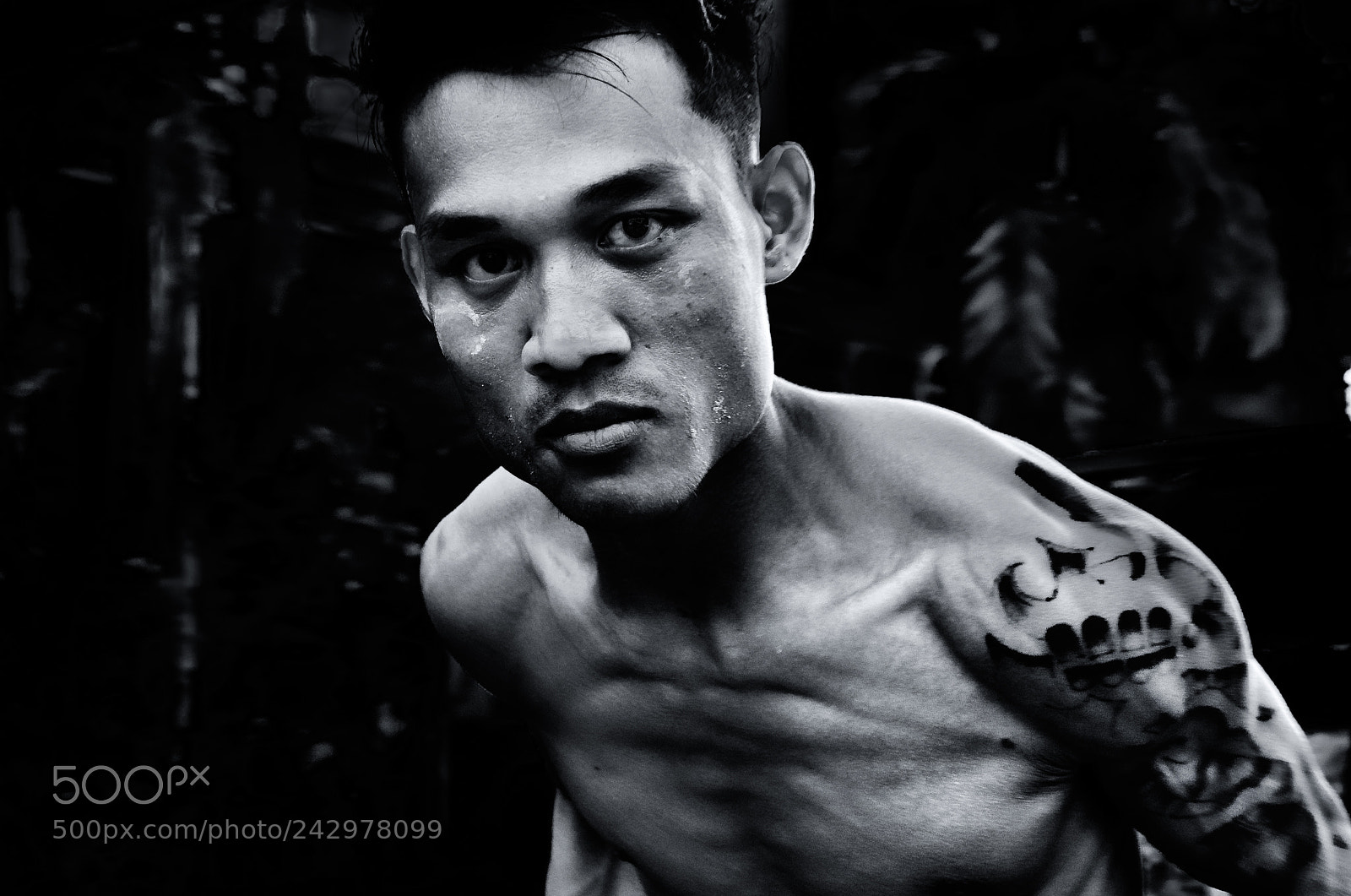 Sony a9 sample photo. Primal instinct photography
