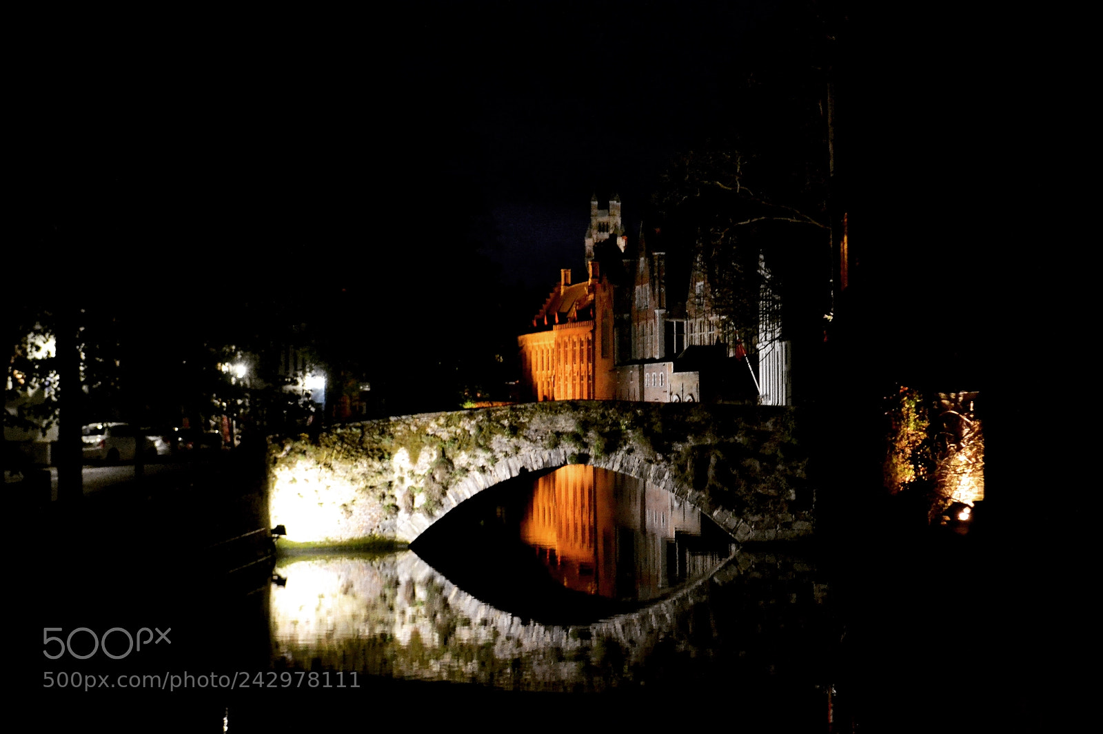 Nikon D3100 sample photo. Nocturnal reflections photography