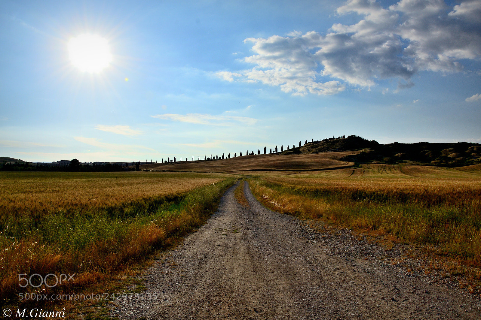 Nikon D3100 sample photo. Tramonto su leonina photography