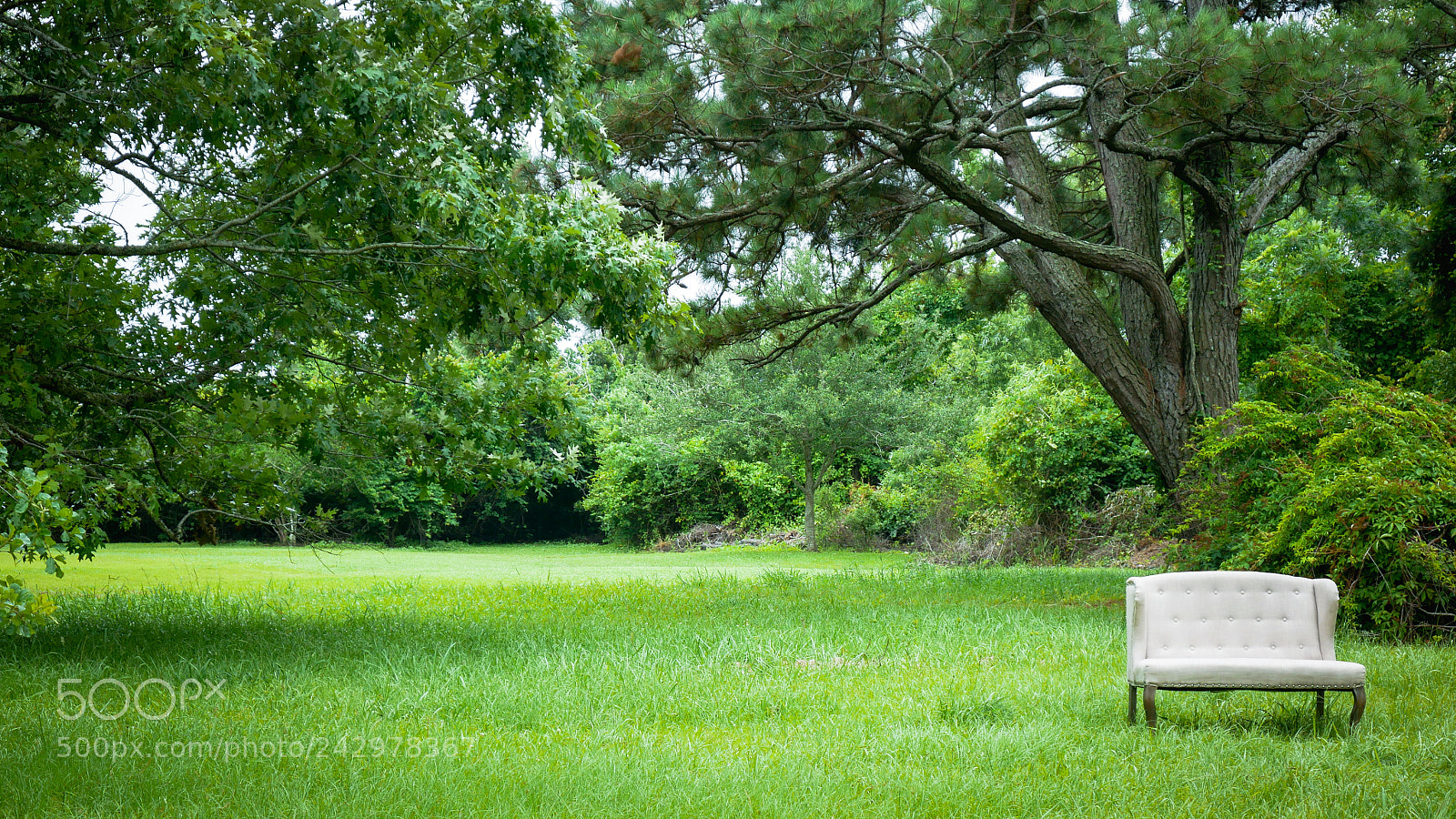 Panasonic Lumix DMC-G7 sample photo. Field with chair photography